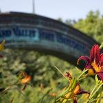 GVSU/WMU agreement puts students on speedy path to master's degree